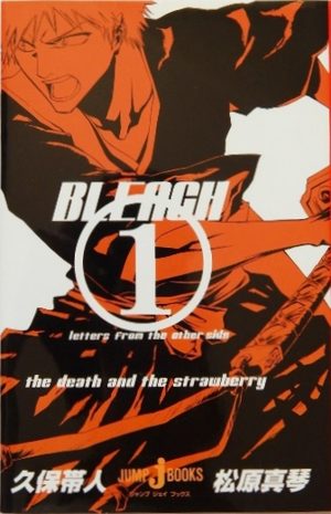 Bleach : Letters from the other side Light novel