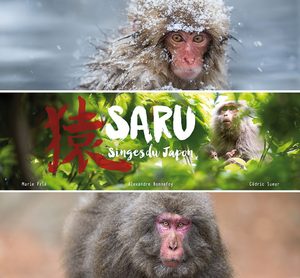 SARU, singes du Japon Livre illustré