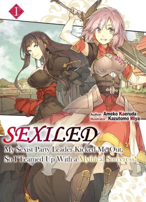 Sexiled: My Sexist Party Leader Kicked Me Out, so I Teamed up With a Mythical Sorceress! Light novel